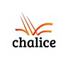CHN Logo