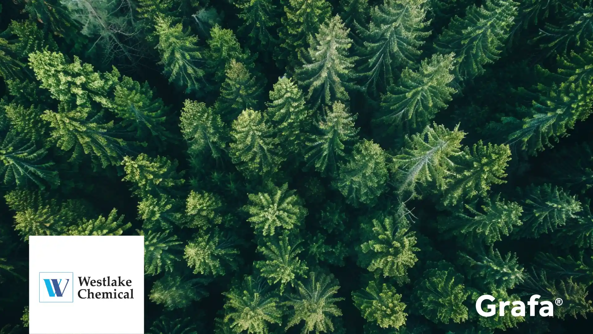 Weyerhaeuser Company company media