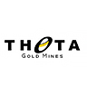 Theta Gold Mines Logo
