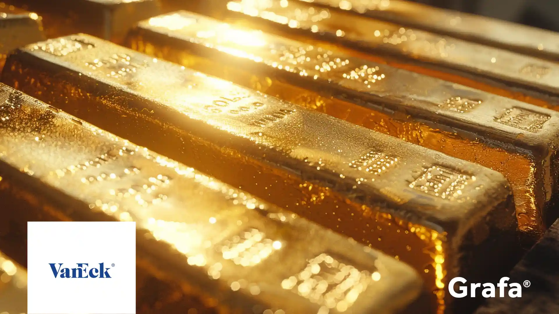 Vaneck Gold Miners ETF company media
