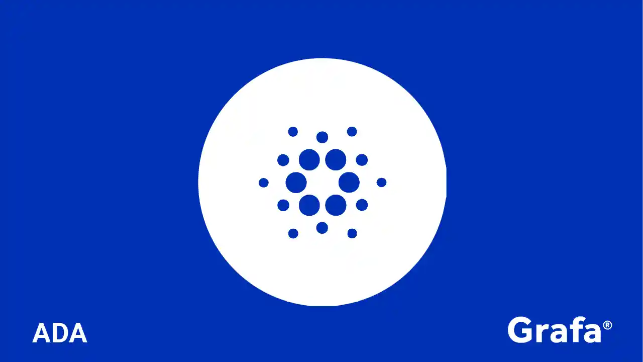 Cardano company media