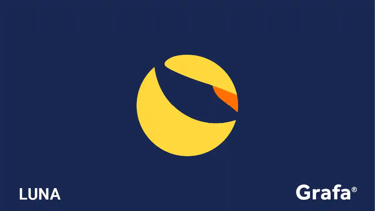 Terra company media